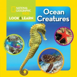 Look and Learn: Ocean Creatures
