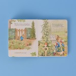 The Tale of Peter Rabbit Picture Book