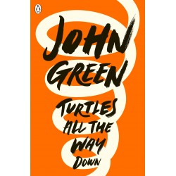 Turtles All the Way Down