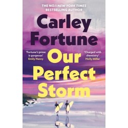 Our Perfect Storm - Carley Fortune