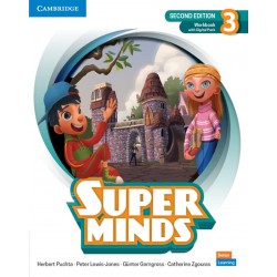 Super Minds Level 3 Workbook