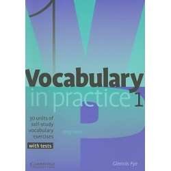 Vocabulary In Practice 1