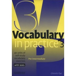 Vocabulary In Practice 3